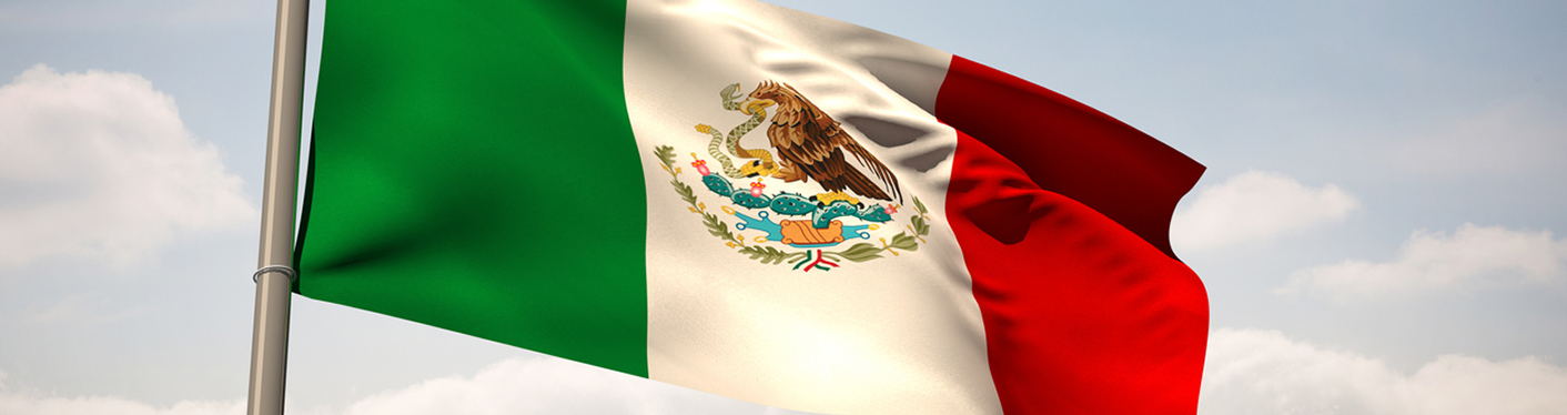 Mexico Flag